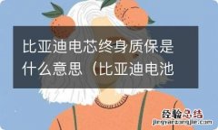 比亚迪电池质保是什么意思 比亚迪电芯终身质保是什么意思