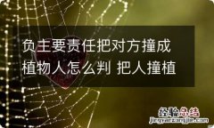 负主要责任把对方撞成植物人怎么判 把人撞植物人怎么判