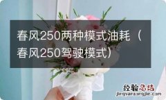 春风250驾驶模式 春风250两种模式油耗