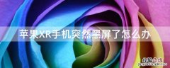 iPhoneXR手机突然黑屏了怎么办 iphonexr突然黑屏是什么原因