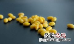 黄豆来不及泡怎么办 黄豆炖猪蹄黄豆来不及泡怎么办