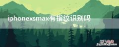 iphonexsmax有指纹识别吗? iPhonexsmax有指纹识别吗