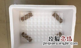 怎么做孵化箱简单孵小鸭 怎么做孵化箱简单孵小鸭视频