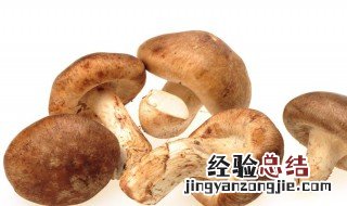 香菇长了白色的霉还能吃吗 香菇长了白色霉还能吃吗