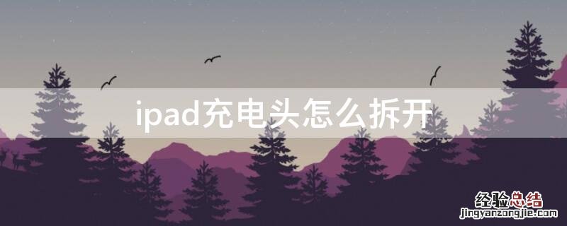 ipad充电头怎么拆开