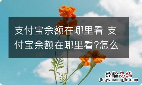 支付宝余额在哪里看 支付宝余额在哪里看?怎么提现