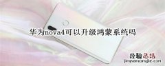 华为nova 4什么时候可以升级鸿蒙系统 华为nova4可以升级鸿蒙系统吗