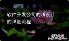 软件开发公司的UI设计的详细流程