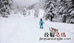 雪天走心文案 和雪有关的文案雪天走心文案