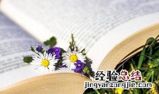 简约大气的微博名女生 独特简约微博名