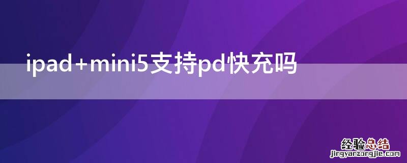 ipad mini5支持pd快充吗