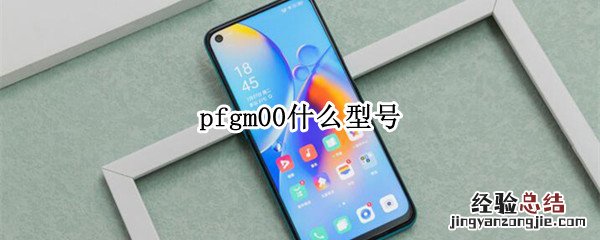 pfgm00什么型号 PFGM00什么型号的手机价格