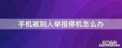 手机被别人举报停机怎么办 手机被别人举报停机怎么办怎么用邮箱申请