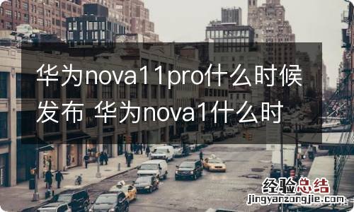 华为nova11pro什么时候发布 华为nova1什么时候发布的