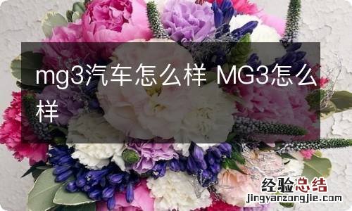 mg3汽车怎么样 MG3怎么样