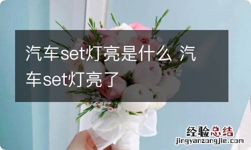 汽车set灯亮是什么 汽车set灯亮了