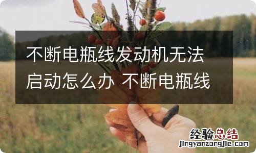 不断电瓶线发动机无法启动怎么办 不断电瓶线发动机无法启动怎么办呀
