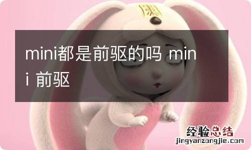 mini都是前驱的吗 mini 前驱