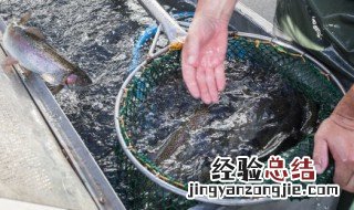 谁知道鱼池怎么洗又快又干净 鱼池怎么清洗消毒