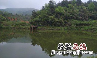 山上的鱼塘怎么做防水 山体鱼塘怎么做不漏水