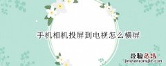 手机投屏到电视如何横屏 手机相机投屏到电视怎么横屏