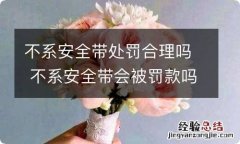 不系安全带处罚合理吗 不系安全带会被罚款吗