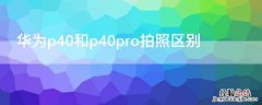 华为p40pro和p40pro+拍照 华为p40和p40pro拍照区别