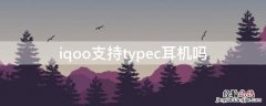 iqoo支持typec耳机吗