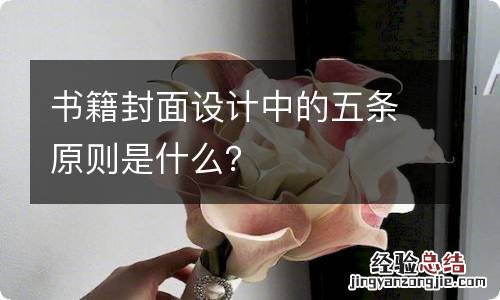 书籍封面设计中的五条原则是什么？