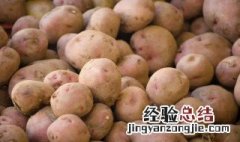 江西土豆种植时间 江西土豆什么时候种植