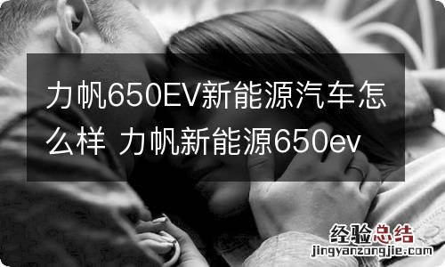 力帆650EV新能源汽车怎么样 力帆新能源650ev300