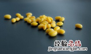 黄豆盆栽怎么种 黄豆盆栽怎么种的