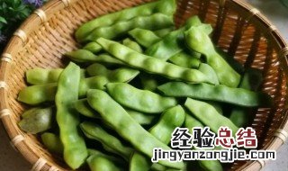 东北油豆角什么时候种植 东北油豆角的种植时间