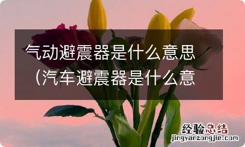 汽车避震器是什么意思 气动避震器是什么意思