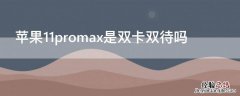 iphone11promax是双卡双待嘛 iPhone11promax是双卡双待吗