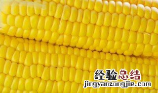 玉米煮熟冷冻保存好吗 玉米冷冻好