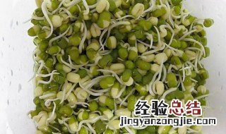 如何种植豆芽 如何种植豆芽菜