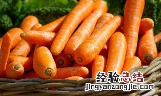 萝卜怎么保存 萝卜如何保存
