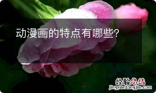 动漫画的特点有哪些？