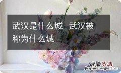 武汉是什么城武汉被称为什么城