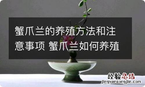 蟹爪兰的养殖方法和注意事项 蟹爪兰如何养殖