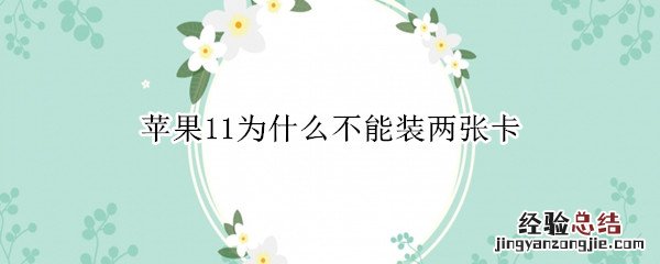 苹果11为什么不能装两个卡 苹果11为什么不能装两张卡