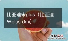 比亚迪宋plus dmi 比亚迪宋plus