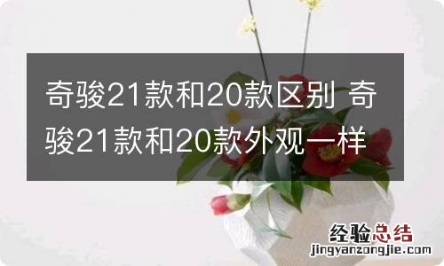 奇骏21款和20款区别 奇骏21款和20款外观一样吗