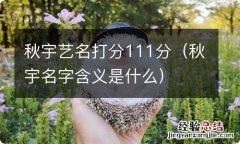 秋宇名字含义是什么 秋宇艺名打分111分