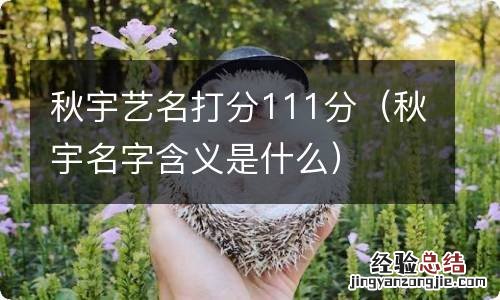 秋宇名字含义是什么 秋宇艺名打分111分