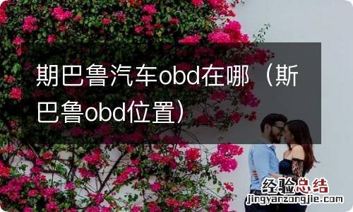 斯巴鲁obd位置 期巴鲁汽车obd在哪