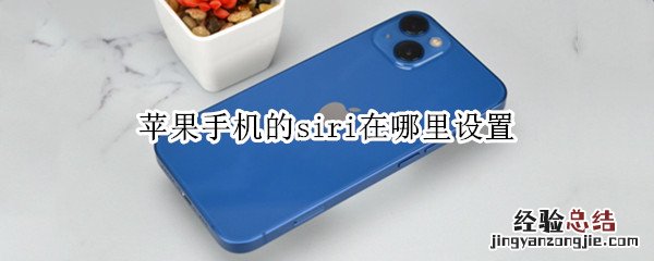 苹果手机的siri在哪里设置 苹果手机里的siri在哪里