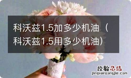 科沃兹1.5用多少机油 科沃兹1.5加多少机油