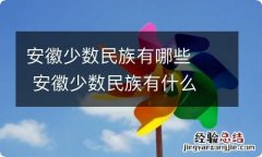 安徽少数民族有哪些安徽少数民族有什么